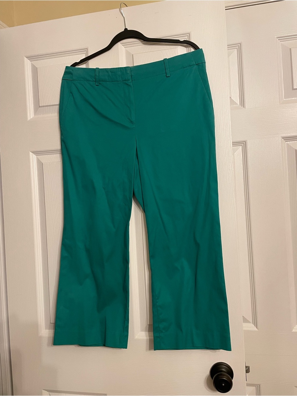 Talbots Teal Wide-Leg Dress Pants
